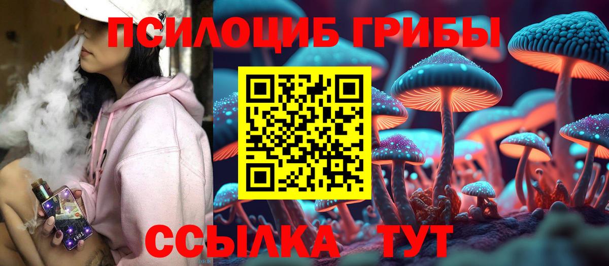Саяногорск  Псилоцибиновые грибы Psilocybine cubensis  Вход с VPN 