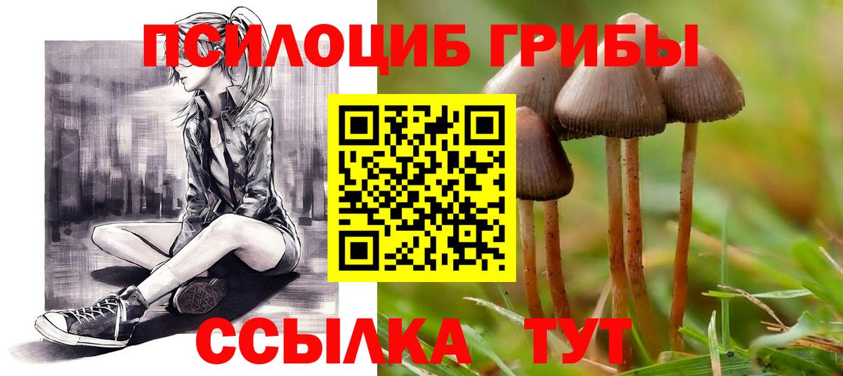 Галлюциногенные грибы Magic Shrooms Саяногорск
